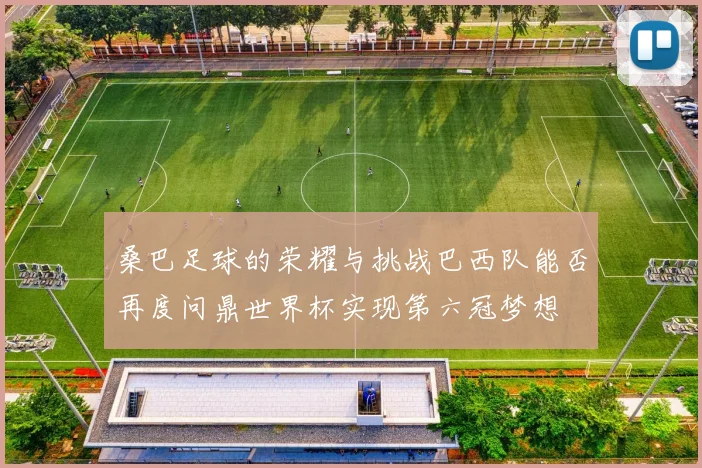 桑巴足球的荣耀与挑战巴西队能否再度问鼎世界杯实现第六冠梦想